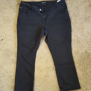 Rider's Black Mid Rise Bootcut Pants